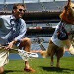 Jim Beardmore Maryland Death: Former All-American lacrosse goalie and coach has died